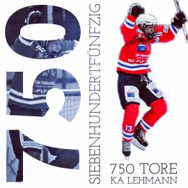 750. Eishockey-Tor 750. Eishockey-Tor
